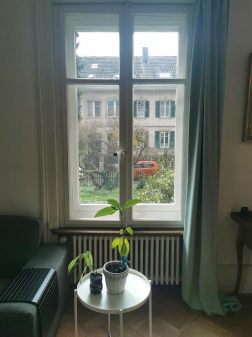 Beautiful Central Apartment Берн Экстерьер фото