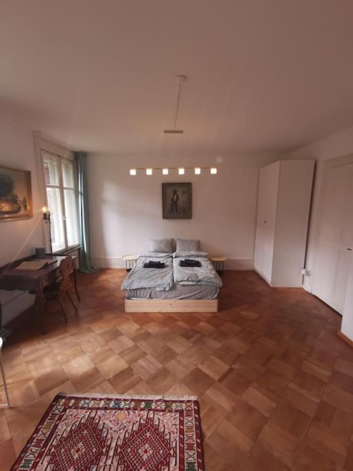 Beautiful Central Apartment Берн Экстерьер фото